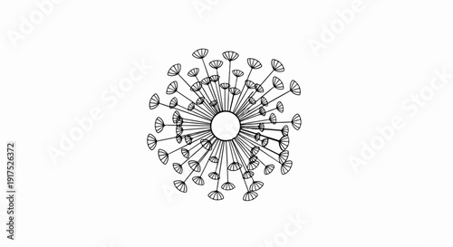 Minimalist line drawing of a dandelion seed head with radiating, delicate florets