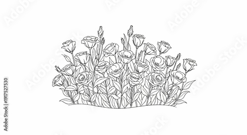 Hand-drawn sketch of blooming flowers and buds with lush foliage