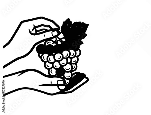 Hands cradling a cluster of grapes with a leaf