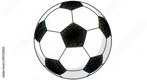 Black and White Soccer Ball Isolated on White Background