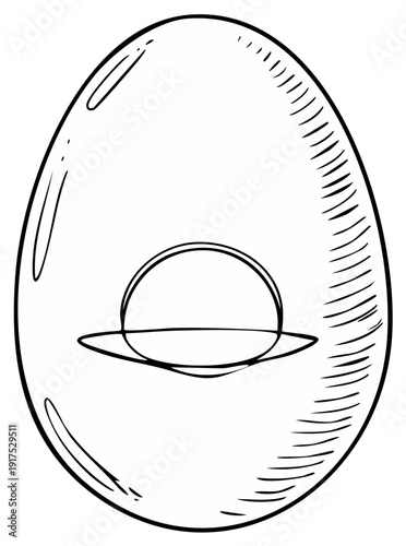 Hand drawn poached egg line art illustration isolated for breakfast food design