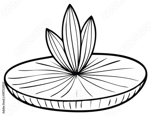 Black and white illustration of a water lily pad and leaves