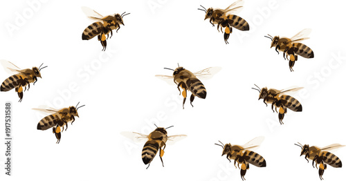 Isolated group of honey bees flying in a swarm illustration set on white background for nature conservation environment and organic honey production branding
