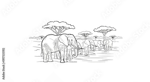 Line art depicts a herd of elephants under acacia trees on a savanna
