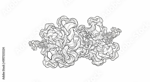 Intricate black and white line drawing of swirling, organic shapes resembling smoke