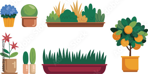 Flat vector potted plants set, indoor garden collection, decorative flower pots, citrus tree, green foliage, botanical illustration design bundle