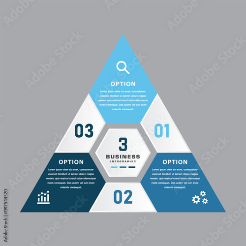 Triangular business infographic with central hexagon and three options