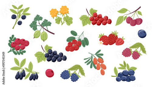 Set of different berries isolated on white background2. Vector flat cliparts. Concept of healthy food, summer, nature.