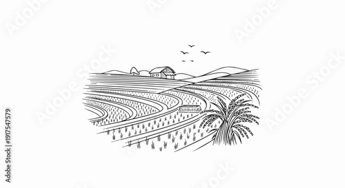 Rolling rice terraces under a sky with distant hills and flying birds