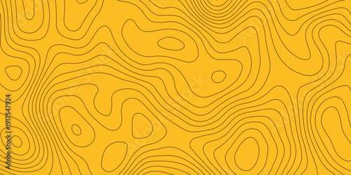 Topographic map background with geographic grid for hiking and mountain sport. luxury topographic wavy pattern and geographic grid map design. paper texture Imitation of a geographical map shades.