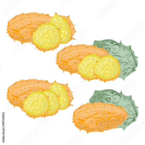 Set Kiwano Horned Melon Fruit