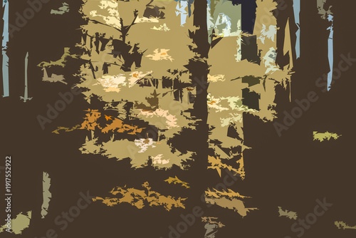 AUTUMN TIME IN FOREST - Colorful tree leaves in the sun rays
