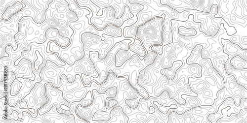 Topographic map illustration with wavy lines and contours on white background