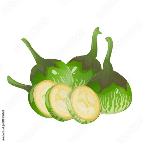 Thai eggplants, tropical vegetable is widely used in Southeast Asian cuisine. For food packaging, recipe books, restaurant menus, educational materials, blogs and farm market promotion