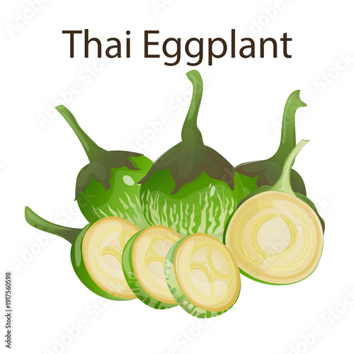 Thai eggplants, tropical vegetable is widely used in Southeast Asian cuisine. For food packaging, recipe books, restaurant menus, educational materials, blogs and farm market promotion