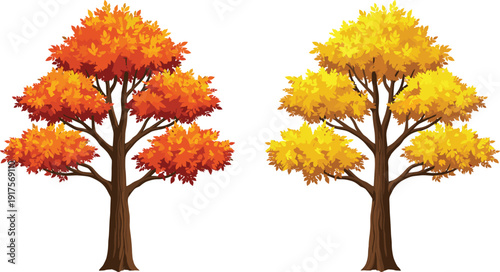 Pair of realistic autumn trees with orange and yellow leaves, fall seasonal foliage collection, vector nature illustration isolated on white