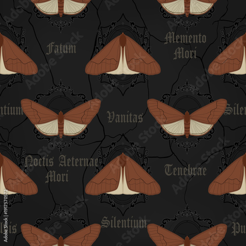 Seamless pattern gothic moths and Memento Mori Vanitas Latin quotes, vector eps 10