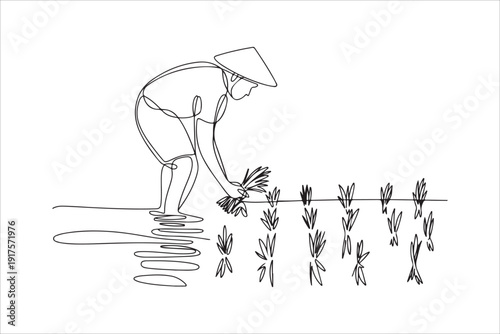 Farmer Planting Rice Seedlings, Continuous Line Art. Continuous line  drawing of a farmer wearing a hat planting rice seedlings in a paddy field,