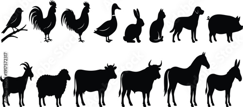 Black silhouette illustration of farm animals including roosters, duck, rabbit, cat, dog, pig, goat, sheep, cows, horse, and donkey for educational and commercial design use