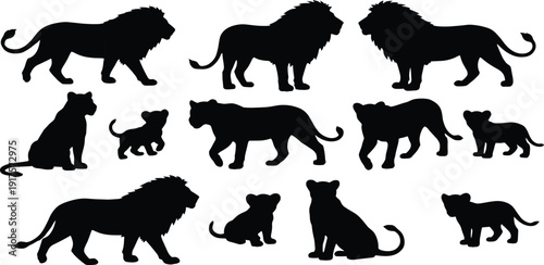 Black silhouette illustration of lions including male with mane, lioness, and cubs in standing, walking, and sitting poses, isolated vector design for educational and commercial use