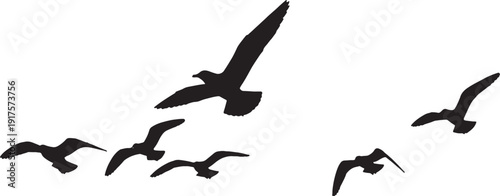 Flock of Flying Birds Silhouettes Soaring in Sky, Wildlife Freedom Grace Nature and Unity. Vector Hand Drawn Sign of Dove Migration, Clean Isolated 