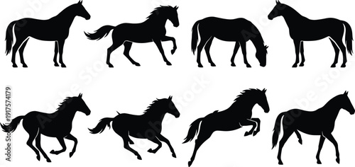 lack silhouette illustration of horses in various poses including standing, trotting, grazing, running, jumping, and walking, isolated vector design for educational and commercial use