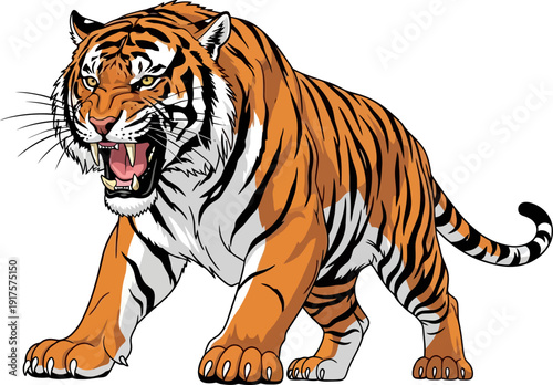 Ferocious bengal tiger roaring with open mouth illustration