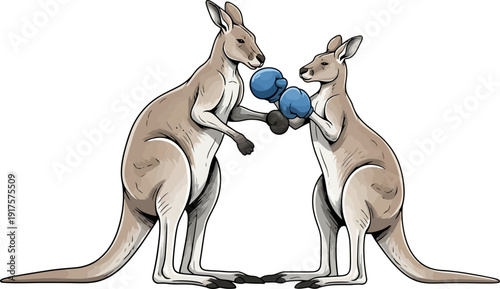 Illustration of two kangaroos boxing with gloves