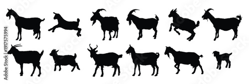 set silhouettes of farm goats