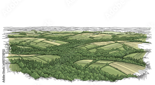 Rolling green hills and forest landscape in detailed hand-drawn style