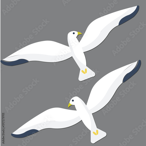 Two white seagulls with black wingtips flying against a plain grey background in a stylized illustration.