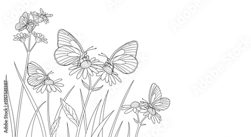 Graceful butterflies and wildflowers in delicate line art style