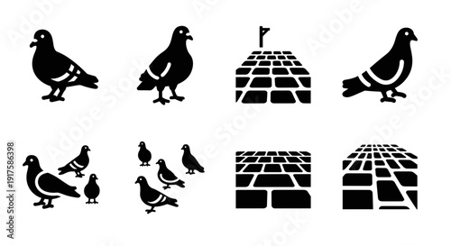 Silhouette pigeons and cobblestone patterns: urban design elements