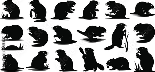 Beaver and groundhog silhouette collection on white background, black rodent group isolated, wild mammal nature design elements for woodland projects,