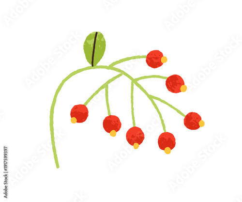 Red berry branch. Abstract plant, wild nature sprig. Bending bowing twig with leaf, fruits, curved stem, spray. Botanical decoration, element. Flat vector illustration isolated on white background