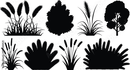 Black bush silhouettes collection, garden shrub icons set, tall grass meadow graphics, botanical nature vector, forest plant landscape design, vegetation.