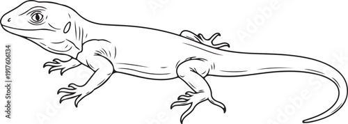 Outline Illustration of a Lizard Showing Detailed Texture and Form , Generative Ai