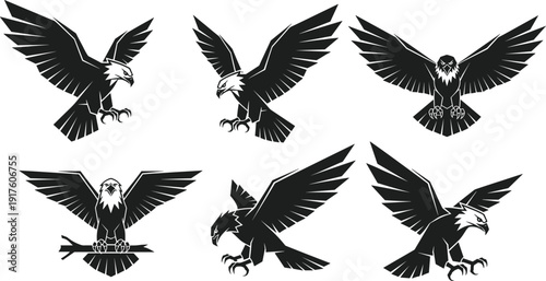 Eagle silhouettes set, flying eagle collection, majestic bird of prey poses, wildlife symbol, black vector illustration isolated on white