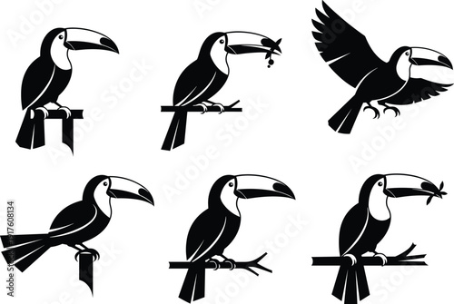 Toucan bird icons set, tropical wildlife silhouettes, exotic jungle birds collection, flying perched toucan illustration, nature animal symbol pack