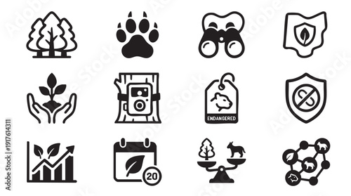 Eco friendly icon collection. Includes tree, paw print, binoculars, leaf, hands, recycling, shield, graph, calendar, scale, molecule symbols. Created in minimalist style with black and white palette