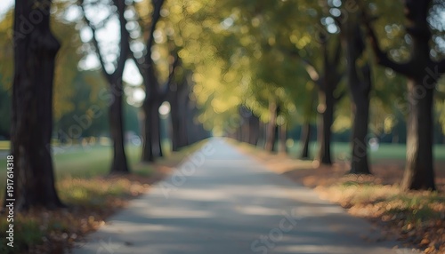 Blurred park path with trees and autumn leaves