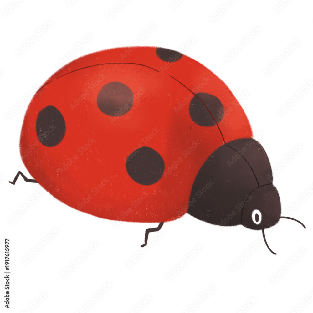 Obraz premium ladybug illustration