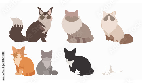 Cute Cartoon Cats Vector Collection with Maine Coon Siberian and Ragdoll Breeds Isolated on White