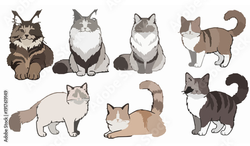 Flat Design Cat Breeds Vector Set Maine Coon Siberian Ragdoll and Domestic Pets on White