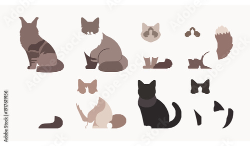 Colorful Domestic Cat Breeds Vector Illustration Set for Pet Shop and Veterinary Design