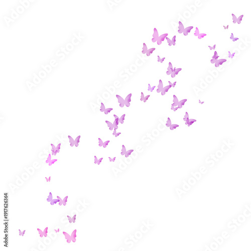 Colorful Flying Butterflies PNG Transparent Illustration