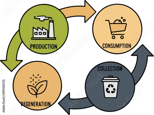 Circular economy process illustration showing production, consumption, collection, and regeneration cycle with icons and arrows