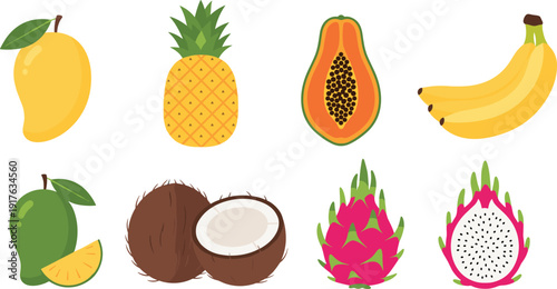 Tropical fruit collection with mango, pineapple, papaya, banana, coconut and dragon fruit, colorful vector illustration isolated on white background