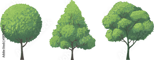 Detailed green trees collection isolated on white background, realistic forest foliage canopy natural landscape vector illustration set