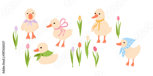 Cute goslings and spring tulip flowers isolated on white. Vector illustration set. Hello spring simple stickers.